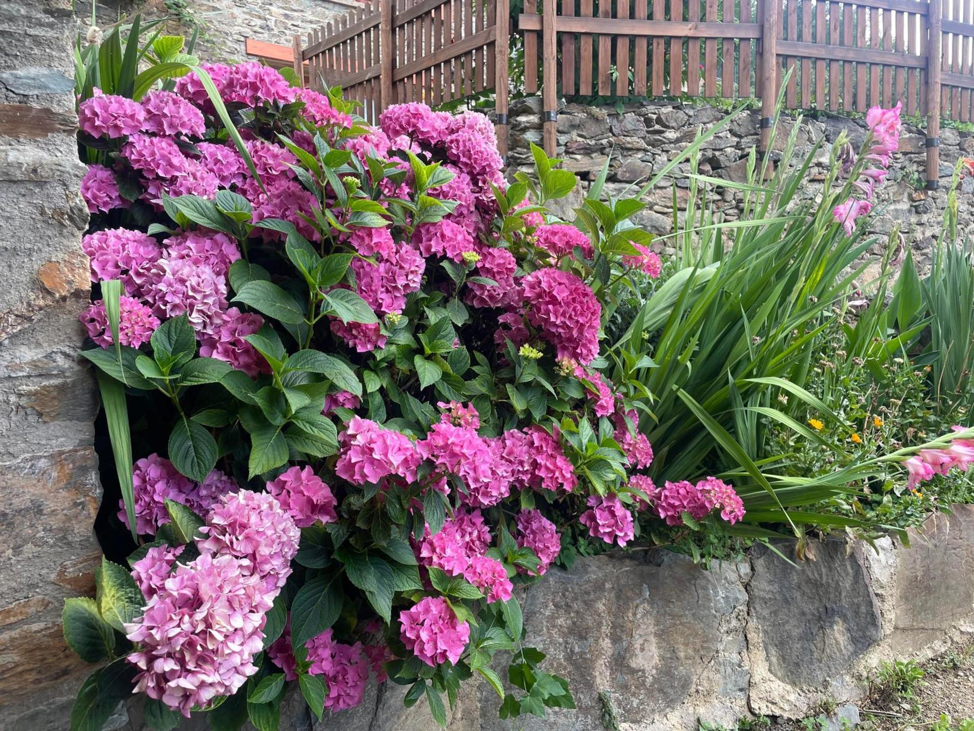 Ca L'Andreu Villa Ventola Ngoại thất bức ảnh
